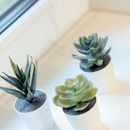 Appartement Pod Brzozami - Silamar - Easy - Rent Niechorze