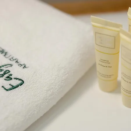 Pod Brzozami - Silamar - Easy - Rent