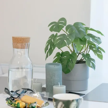 Pod Brzozami - Silamar - Easy - Rent Niechorze