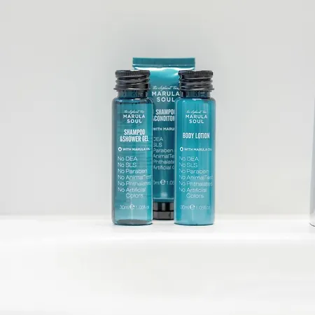 Pod Brzozami - Silamar - Easy - Rent