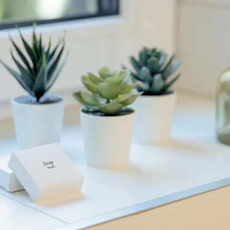 Pod Brzozami - Silamar - Easy - Rent * Niechorze